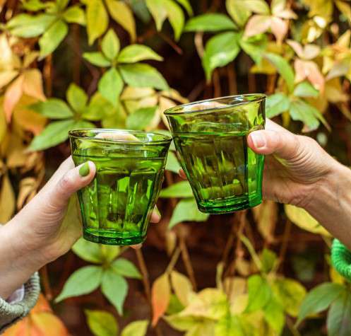 Le Picardie® Green Glass Tumbler - Set of 6 - Image 5
